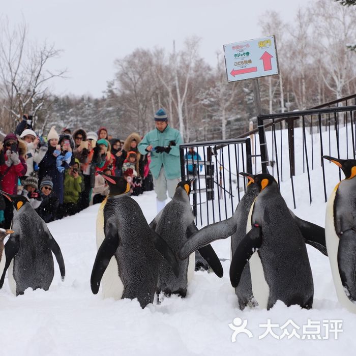 旭山动物园