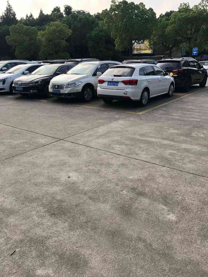 上海共青森林公园南大门停车场