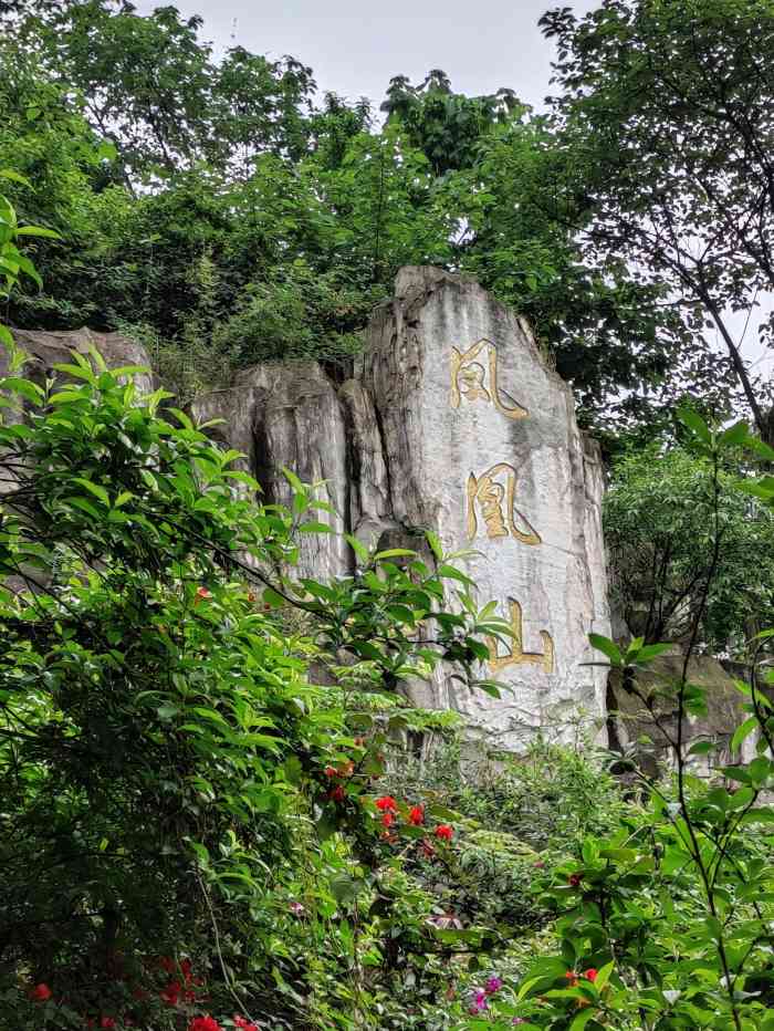 凤凰山文化公园-"可以眺望磁器口的一个社区公园 很矮