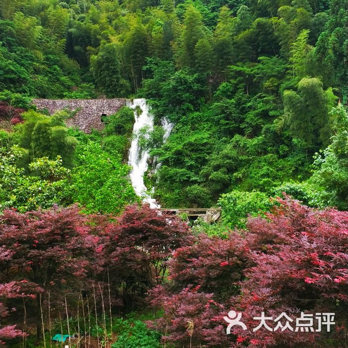 四明山国家森林公园