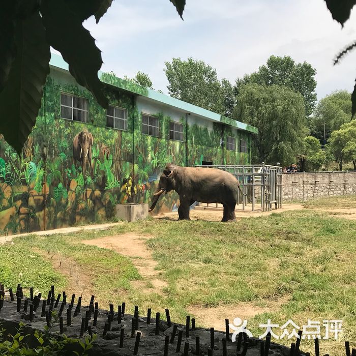 西安秦岭野生动物园