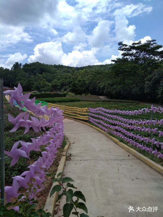 九龙山花仙谷-景点图片-深圳周边游-大众点评网