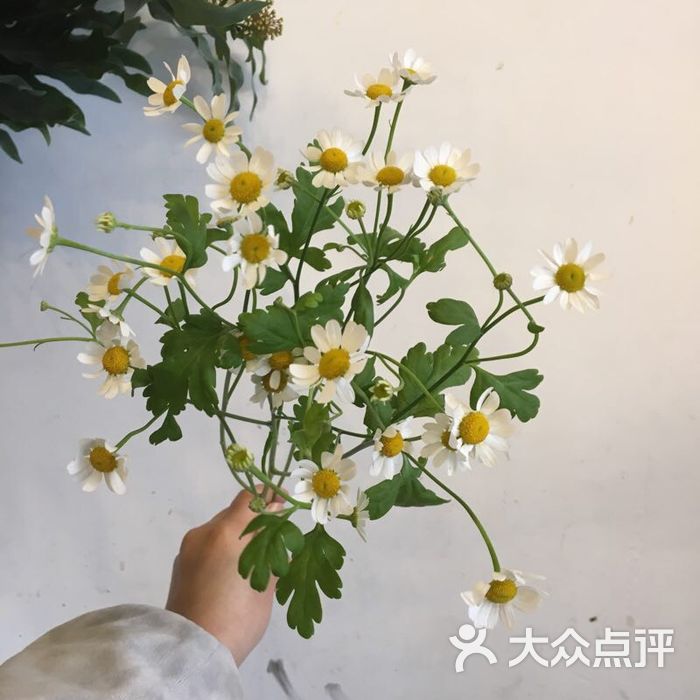 芙罗拉鲜花生活馆