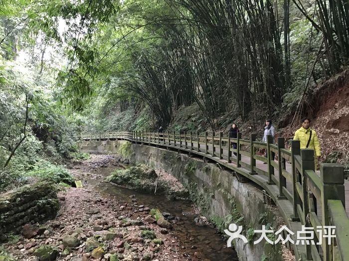 凤栖山康道-图片-成都周边游