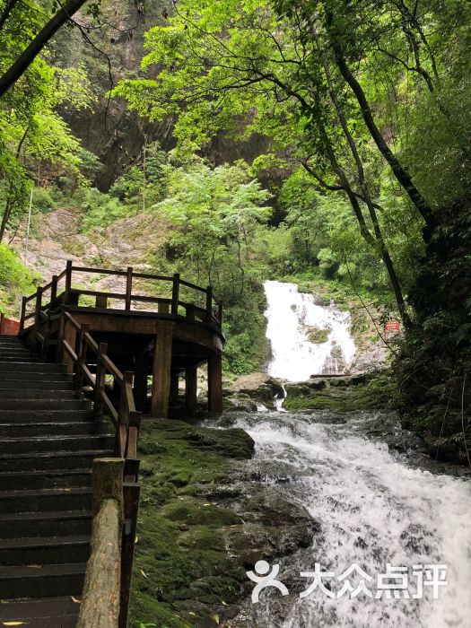 黑山谷景区-图片-綦江县周边游-大众点评网