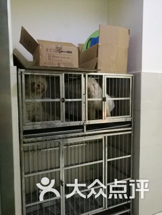 【和平动物医院】电话_地址_价格_营业时间_