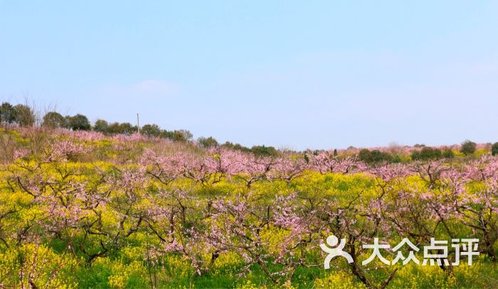 桃花岛景区-图片-南京周边游-大众点评网