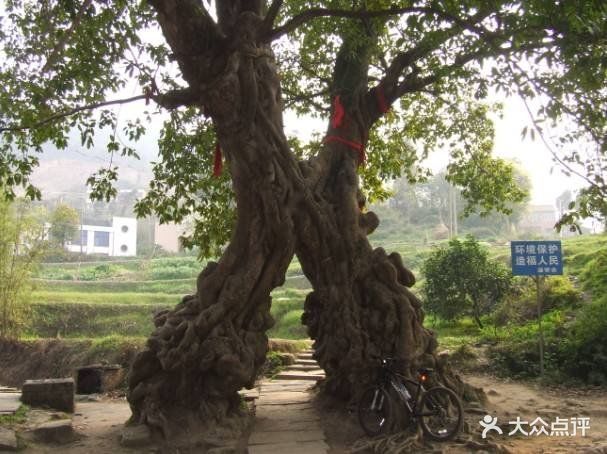 黄桷门-图片-铜梁区生活服务-大众点评网