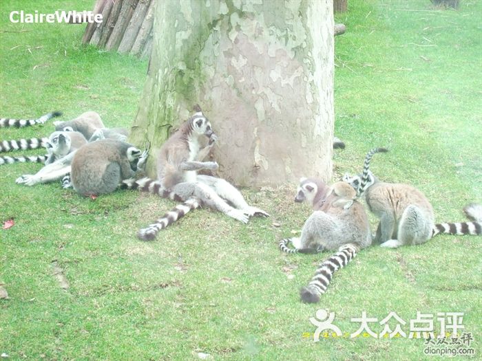 上海动物园