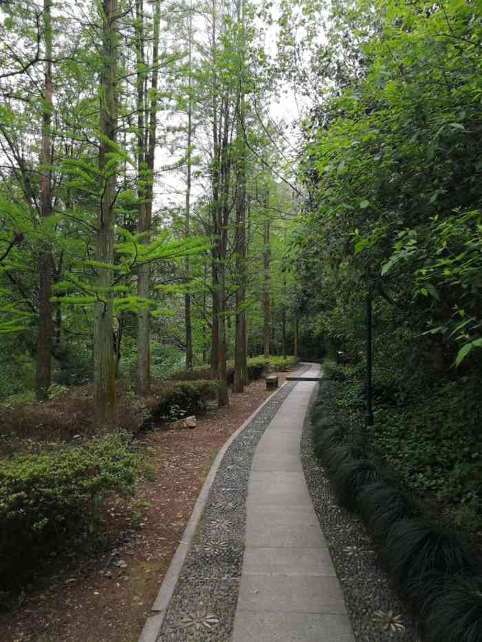 蕺山公园-"山路不算陡峭,适合老年人.一路上啥都要买.
