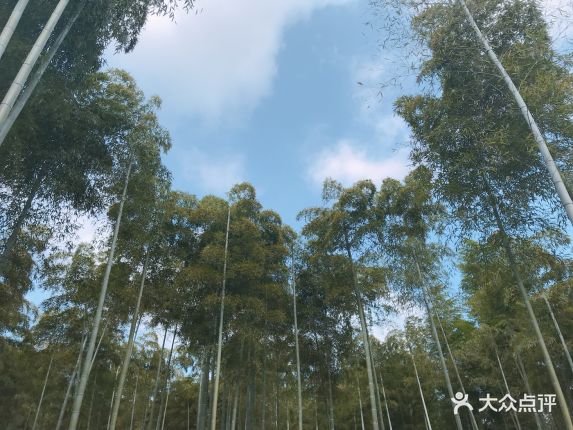 最新农家乐项目创业计划书 创业项目计划书(通用开云体育- 开云体育官方网站- 开云体育APP 最新202520篇)