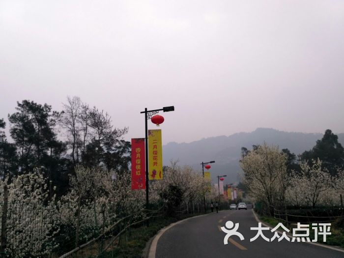 樱桃山旅游景区图片 第41张