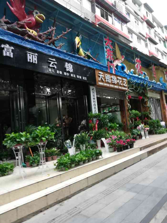 大东门花鸟鱼艺大市场-"大东门附近,无意间逛到,抬脚