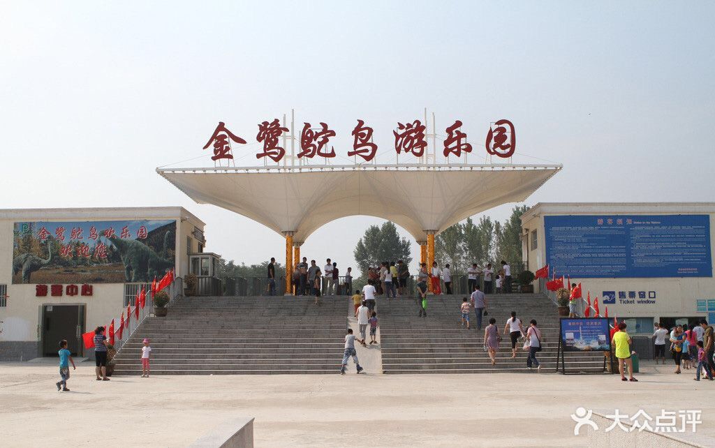 金鹭鸵鸟园图片