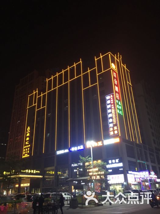 百合酒店(乐从天佑城店)图片 - 第17张