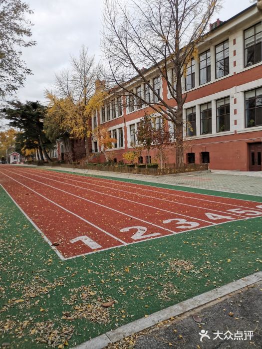 大连市实验小学图片