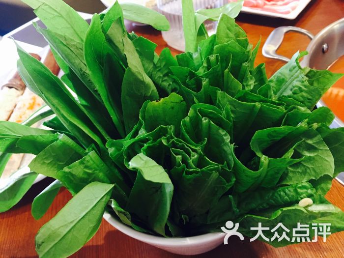 重庆小天鹅火锅油麦菜图片 - 第13张