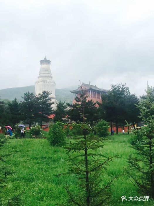五台山风景区-图片-五台县周边游-大众点评网