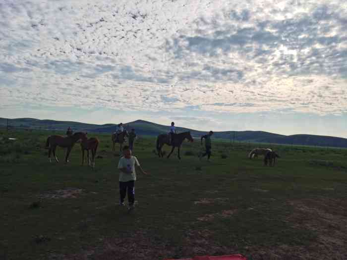 皇家鹿苑湿地公园-"皇家鹿苑公园在丰宁坝上草原,周末