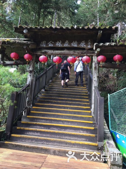 太平山原始森林公园图片 第1张