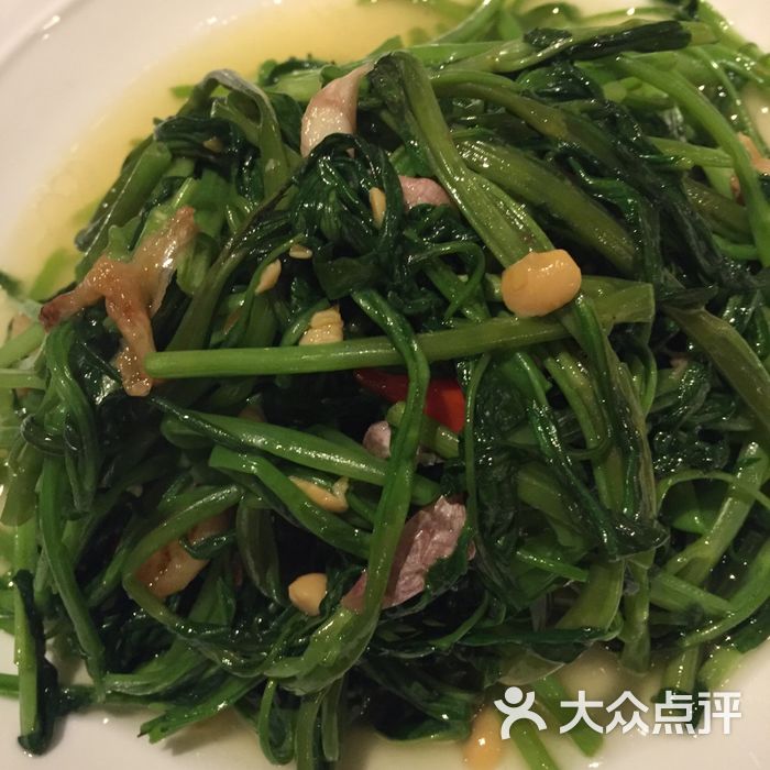 mosquito_222 我叫share吖 迪迪的嬷嬷