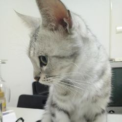 YIv1UMmzO7CMXETP1cIuXLR5tnLzZr-rWOfbACd0QtIjLIQ8wWhdlE7XjNM2ZqP2F5u7J_jS4MuCaeLAHD0KTg.jpg