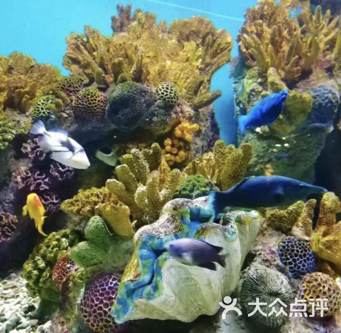 新英格兰水族馆图片 第1张