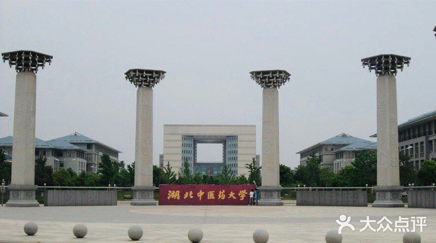 湖北中医药大学(黄家湖校区)图片