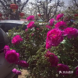 上菜县哪些镇人口多_人口多的图片