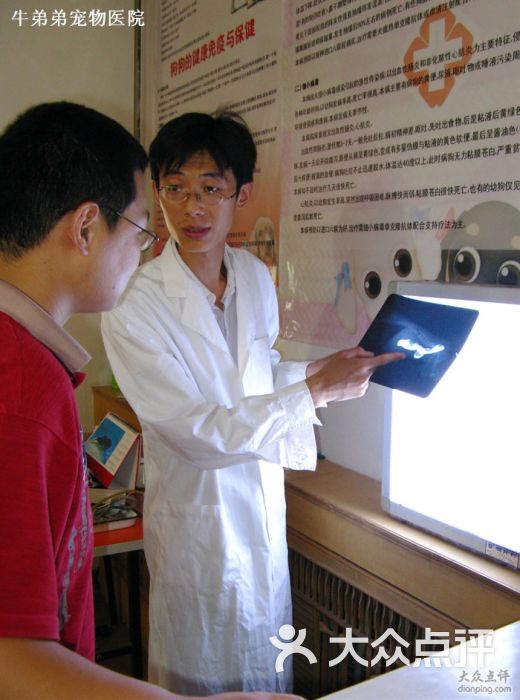 牛弟弟宠物医院-钡餐造影图片-石家庄宠物