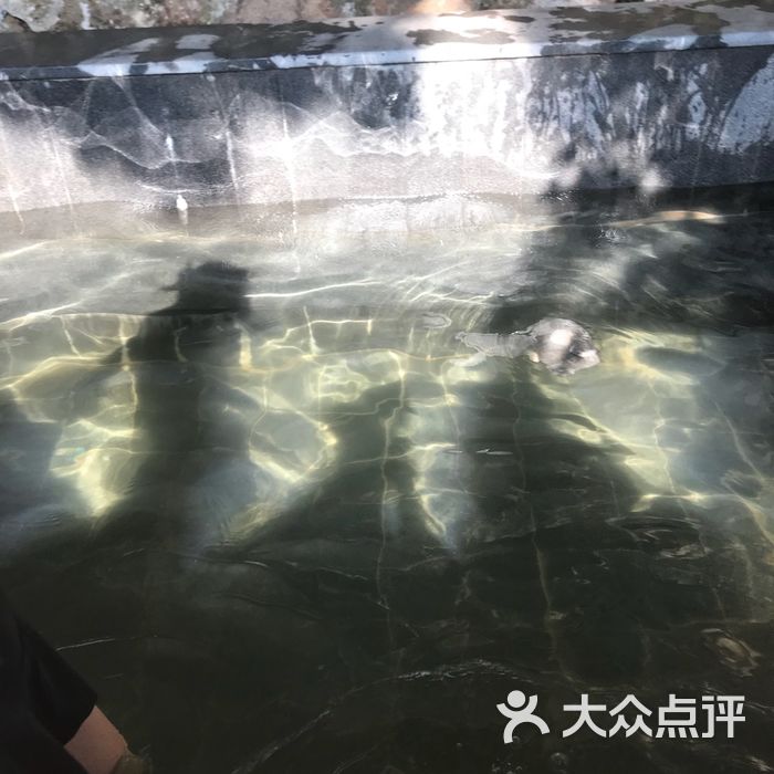 于山宾馆福龙雅境温泉图片-北京温泉-大众点评网