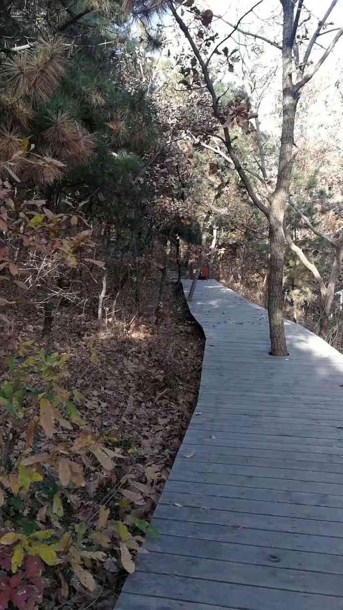 圆明山旅游度假区-"秦皇岛市园明山上的园明禅寺始建.