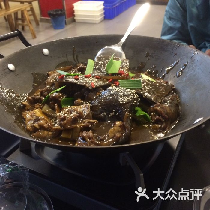 铁锅甲鱼图片 - 第12张