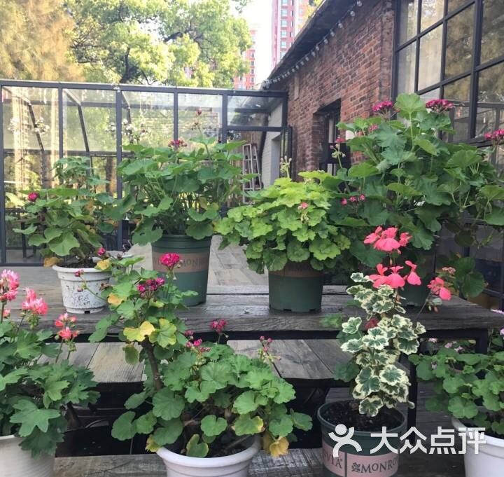 老房子花园餐厅图片 第9张