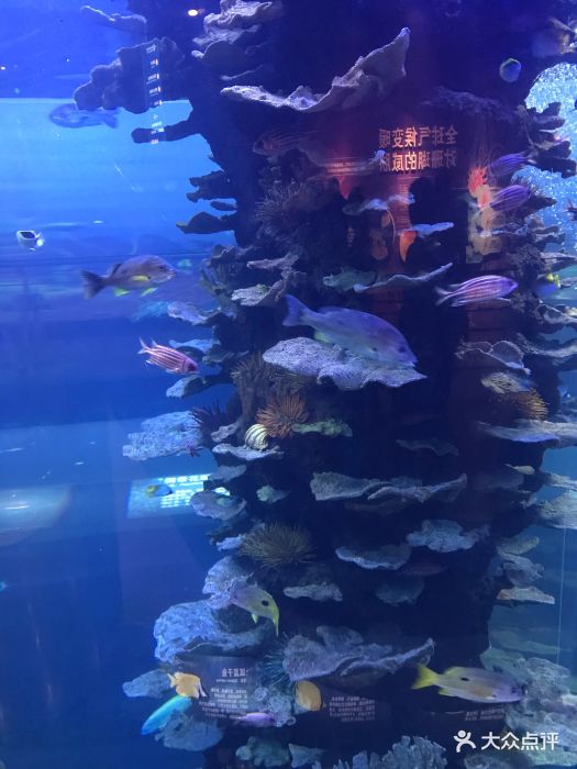 青岛海底世界图片 - 第3张