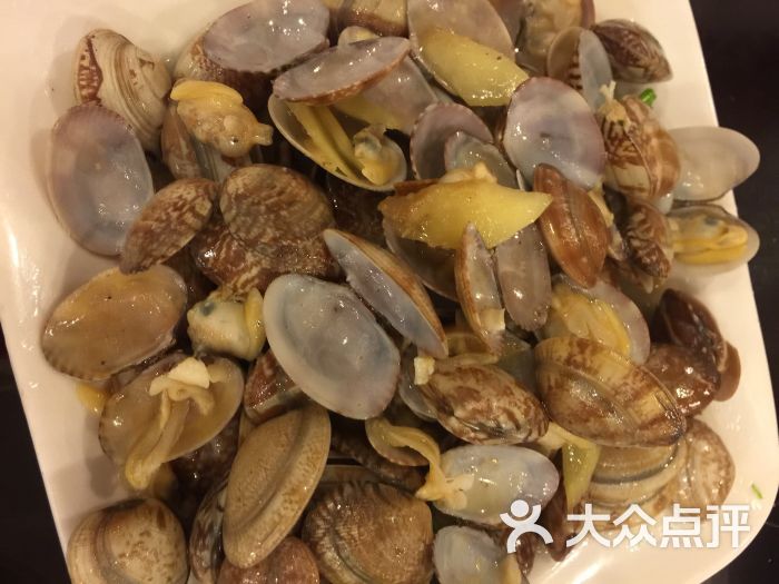 洒金珊瑚_珊瑚红洒金对联纸_金珊瑚海鲜坊(2)