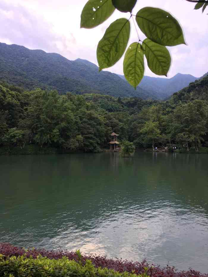 野趣沟风景旅游区-"美,山路还蛮好走的,拍的照片都有.