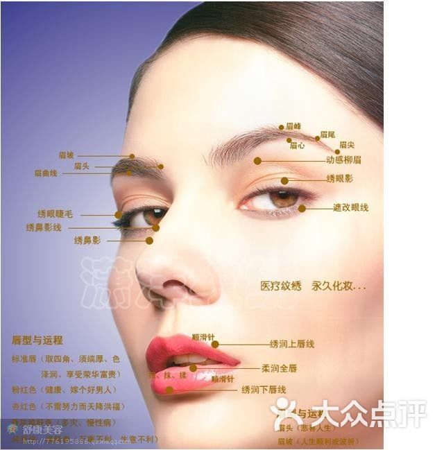 俏佳人纹绣眉部眼部鼻部的面部美学标准图片-null纹绣