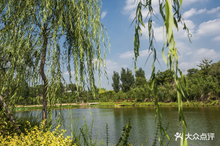 优河湾生态园-景观位-环境-景观位图片-荥阳市美食