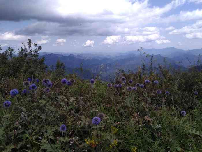 百花山自然保护区-"百花山风景区在房山和门头沟区的