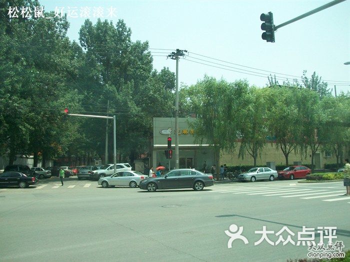 北关附近花鸟市场_桥南附近有地铁战吗_健德桥附近的海鲜市场