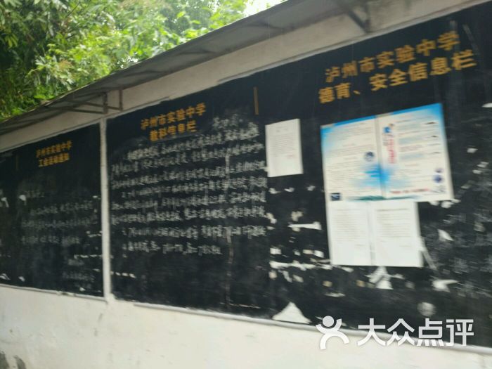 泸州市实验中学图片 - 第7张