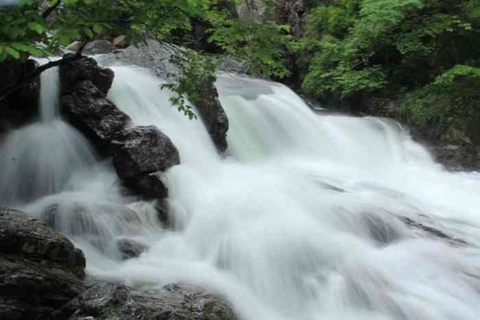 牯牛降九龙景区-"我们跟团旅行的,不过到达牯牛降,.