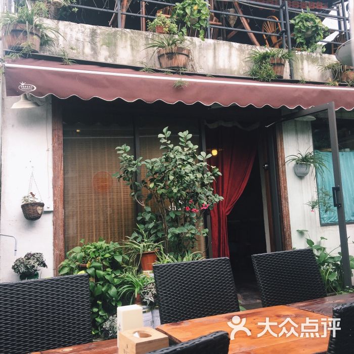 春树下花园餐厅(中隐于市店-图片-合肥美食-大众点评网