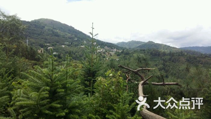 凤山公园-图片-凤庆县周边游-大众点评网