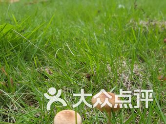 【武汉煎子生】团购,地址,电话,订餐,附近门店,