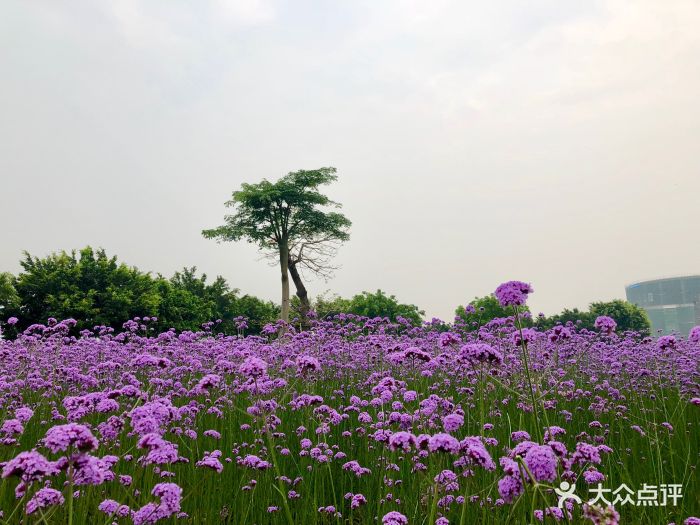 福州花海公园图片 - 第30张