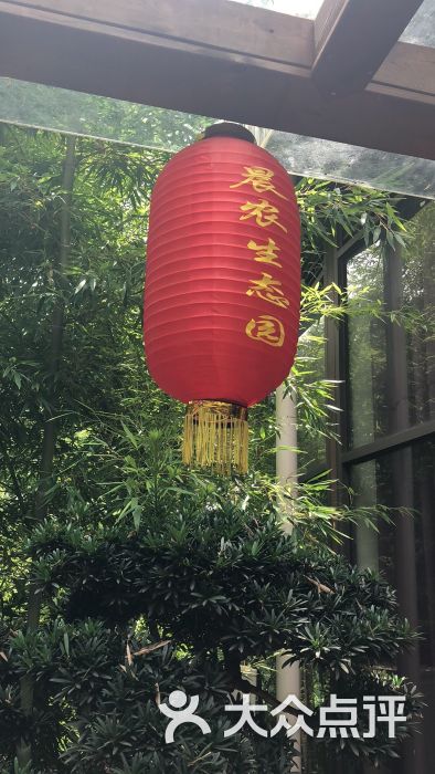 晨农生态园私房菜餐厅图片 - 第4张