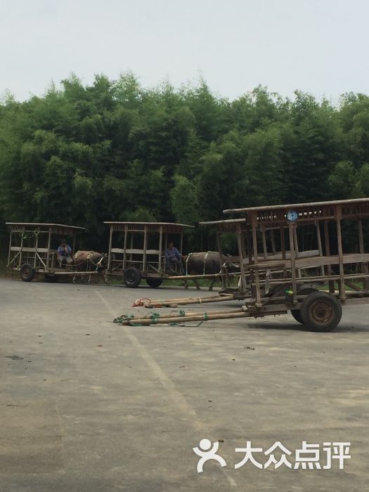 双溪漂流:随上海旅游集散中心的一日游来到.杭