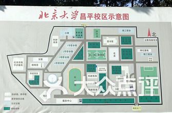 10                                           北京大学(昌平校区)